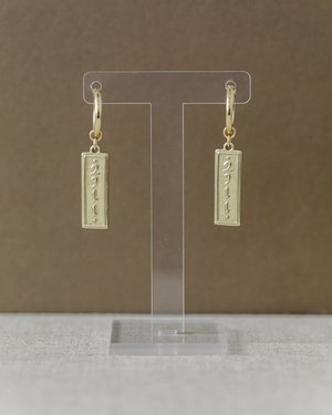 Jeremiah 29:11 Earrings
