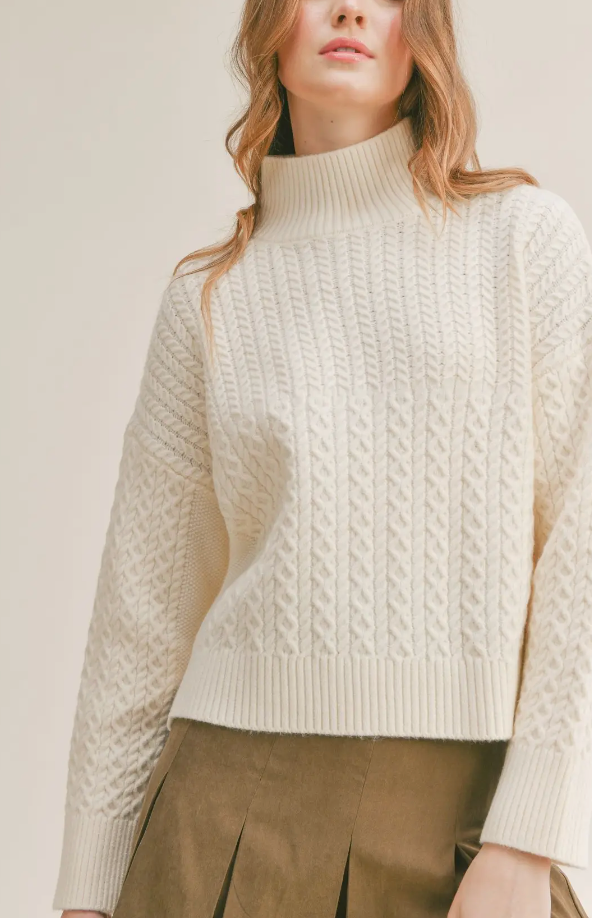Liss Turtleneck Sweater Ivory