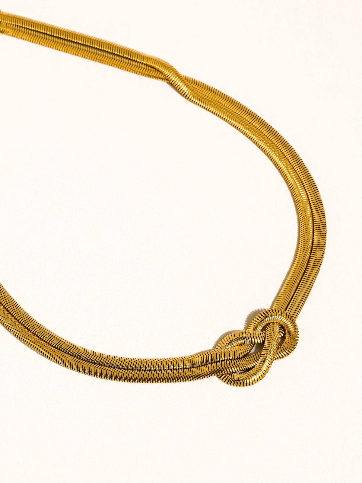 Evereign Choker Necklace