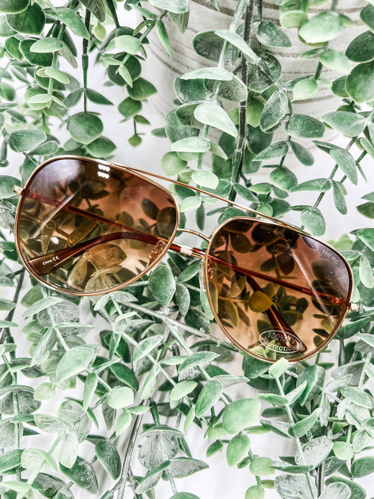 Max Gold/Brown Aviator Sunglasses