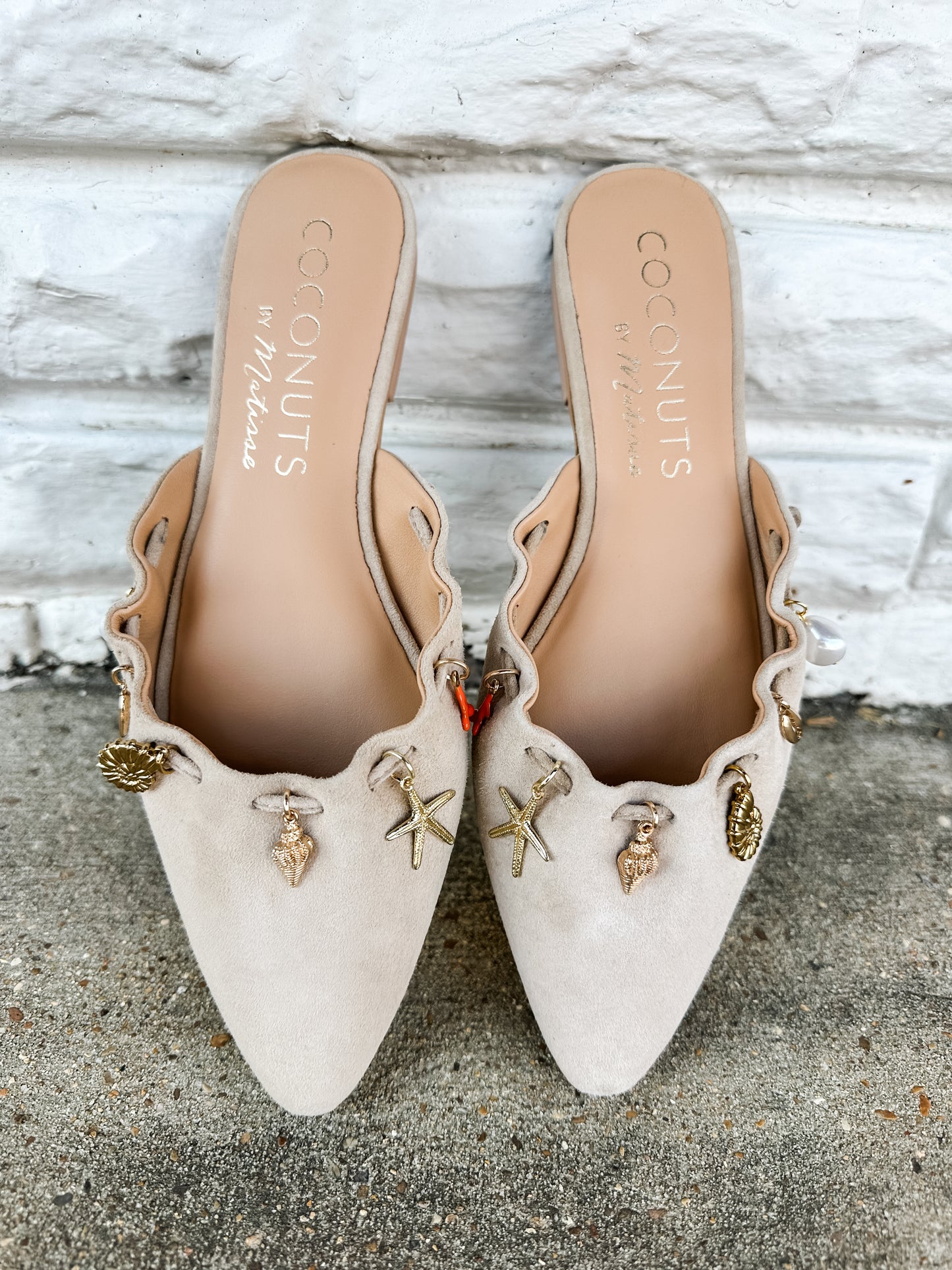 Monette Mule