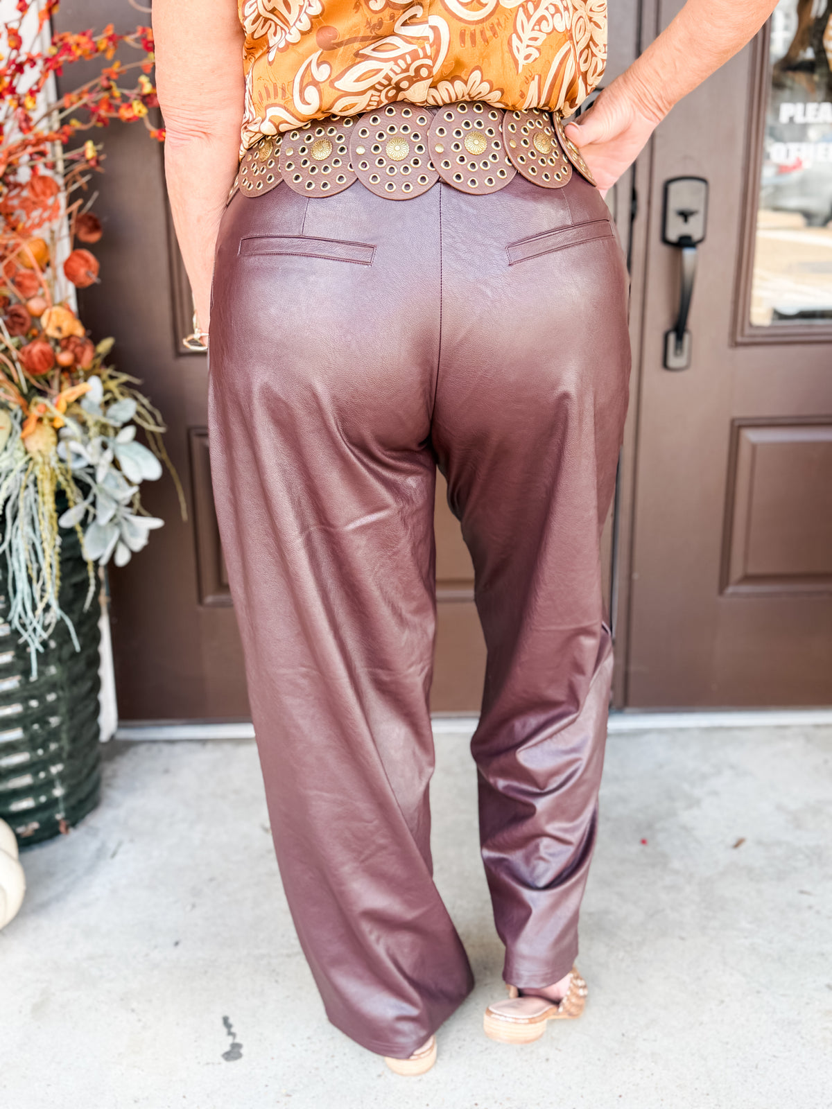 Philona Stretch Faux Leather Pants Brown