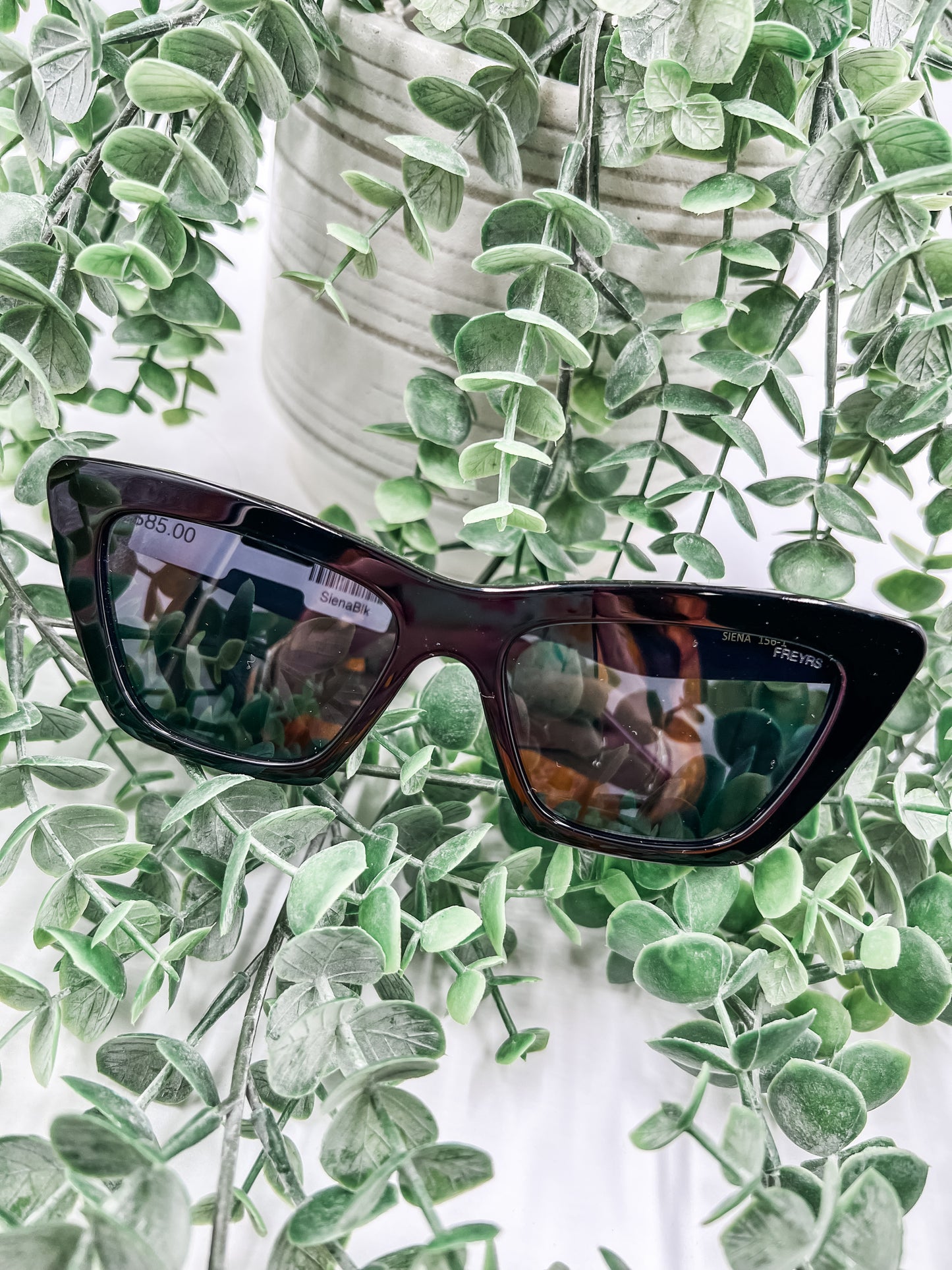 Siena Black Sunglasses