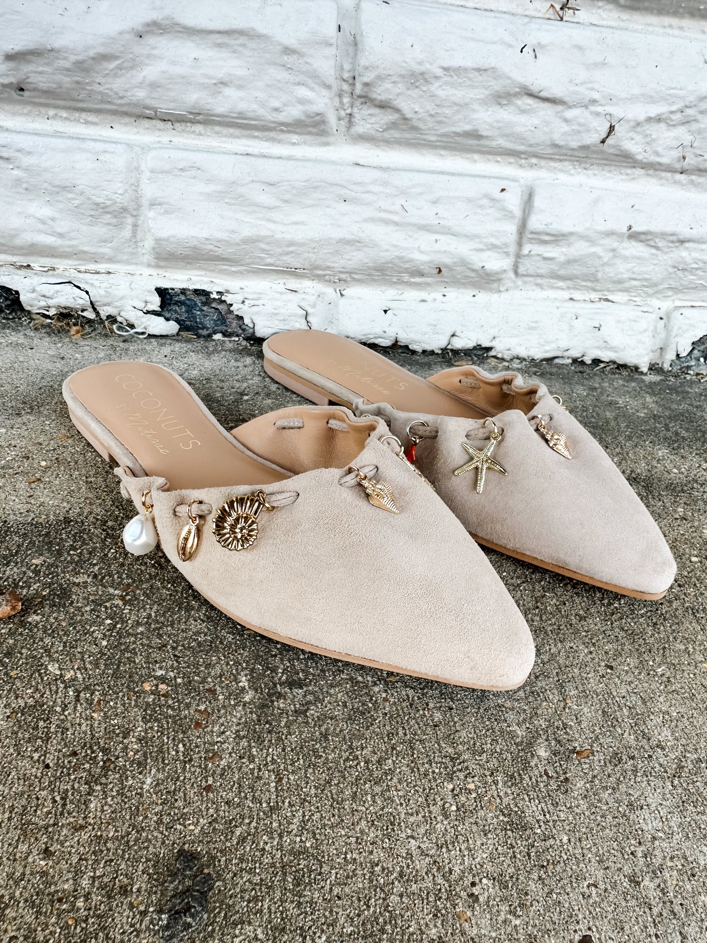 Monette Mule