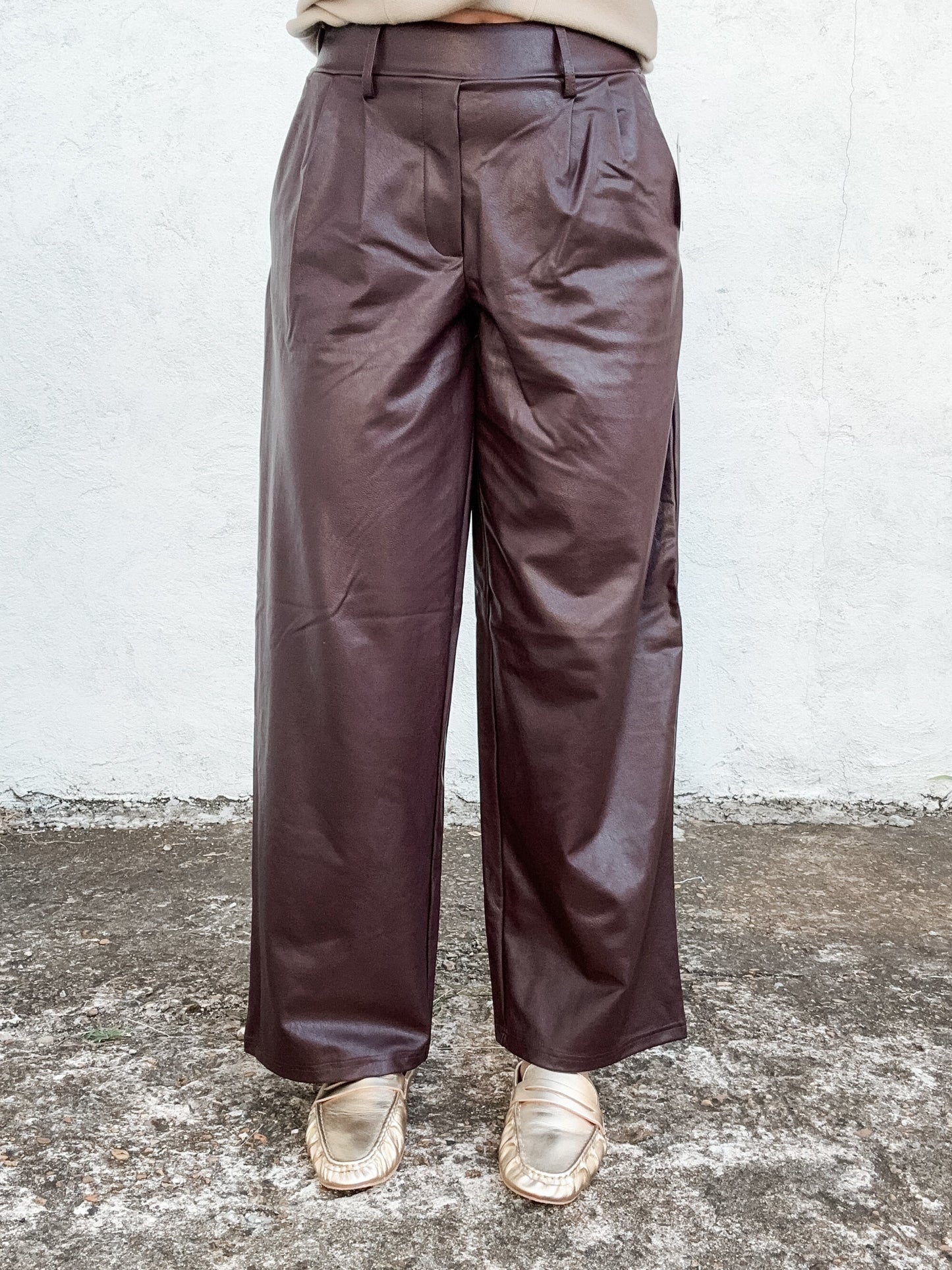 Philona Stretch Faux Leather Pants Brown