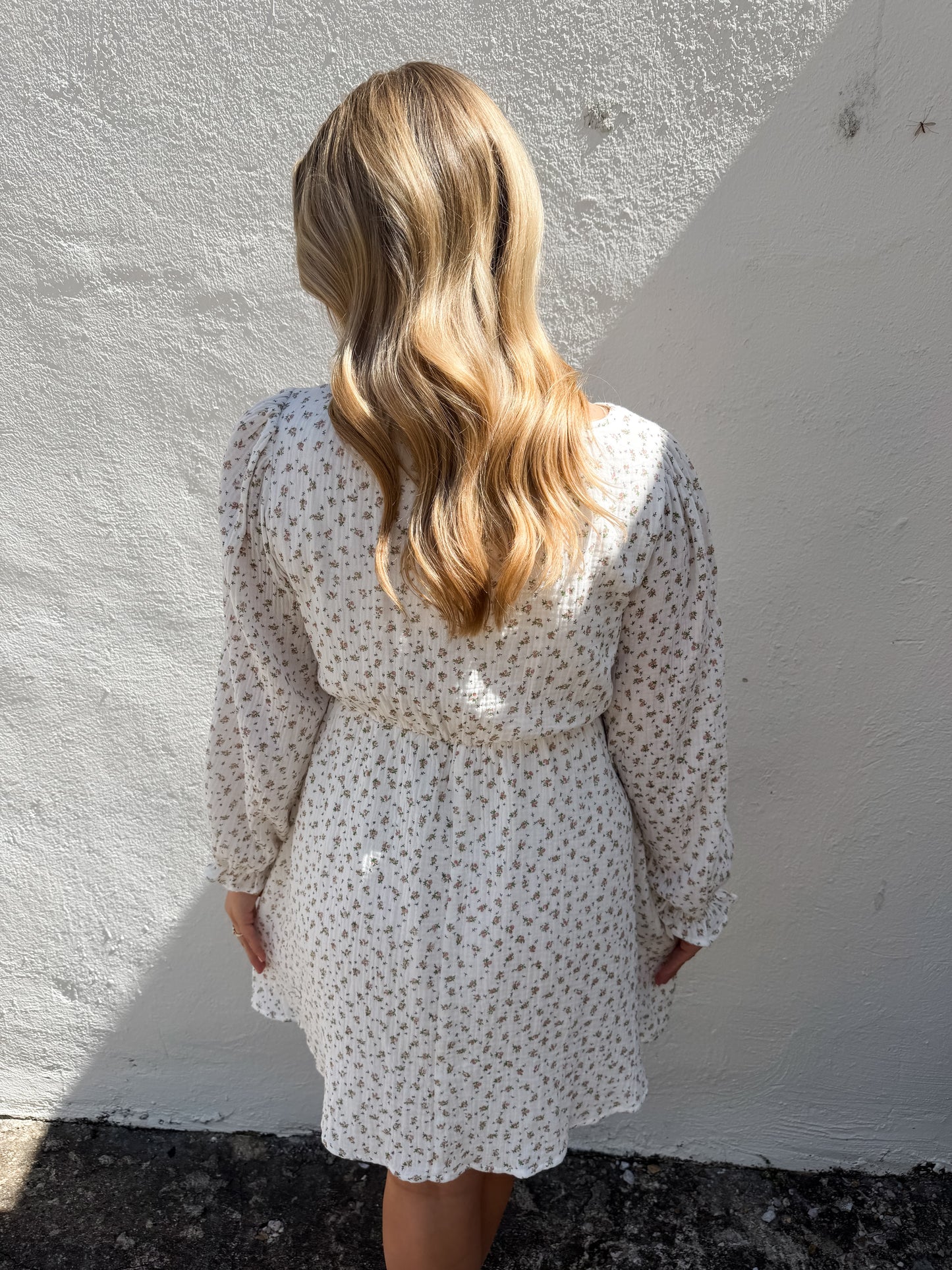 The Salem in Ballet Botanica