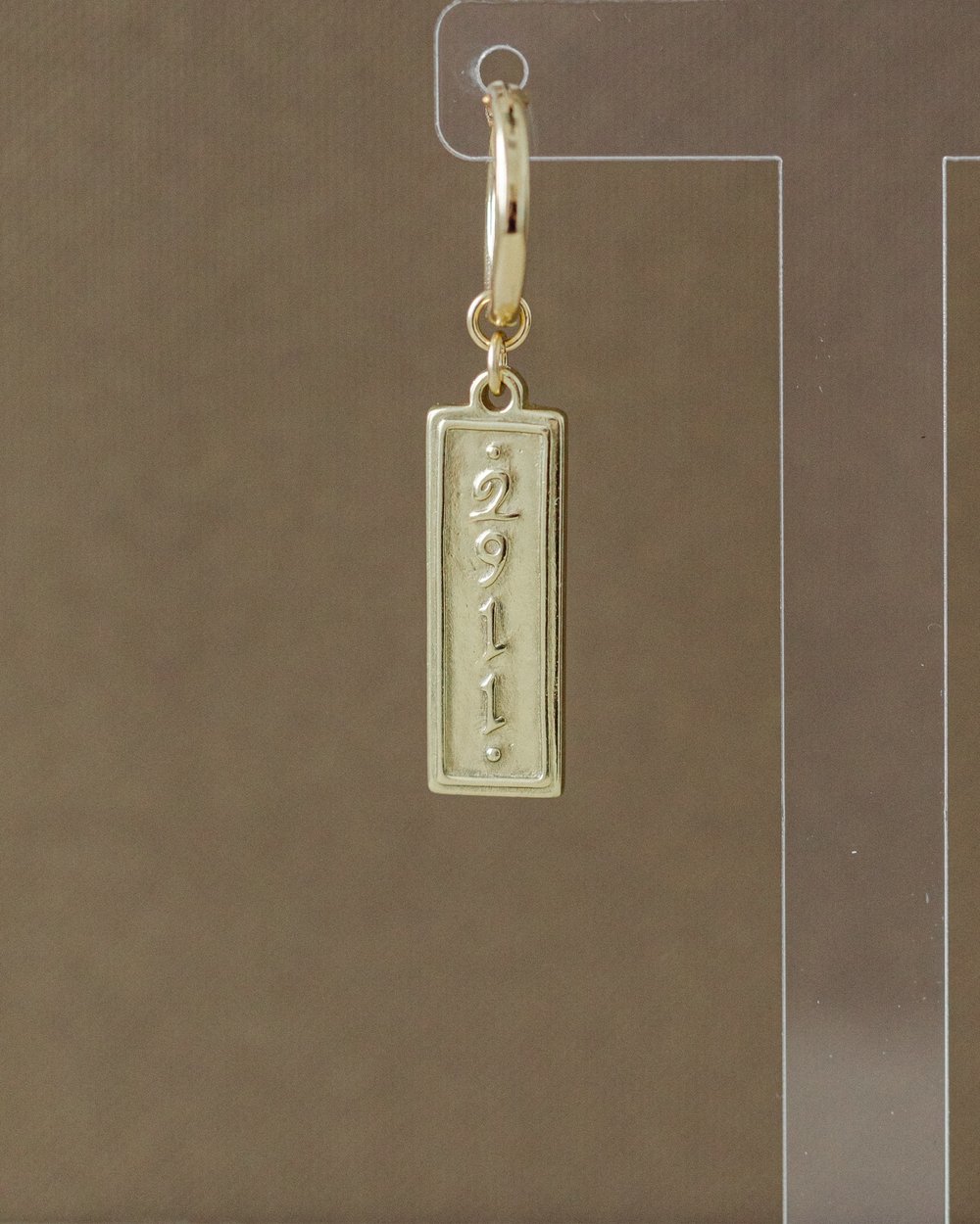 Jeremiah 29:11 Earrings