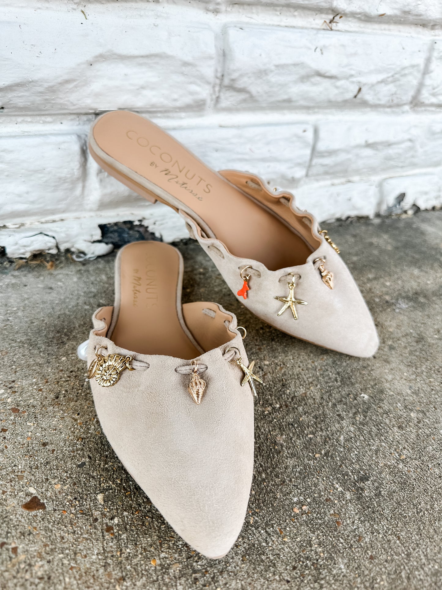 Monette Mule