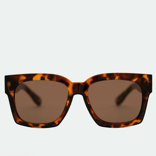 Alba Tort/Brown Sunglasses